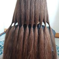 خرید موی طبیعی و رنگی با بالاترین قیمت میلیونی