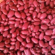 لوبیا قرمز