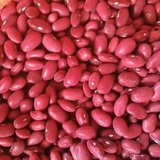 لوبیا قرمز