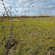 فروش زمین مسکونی 400 متر در ولم علیا