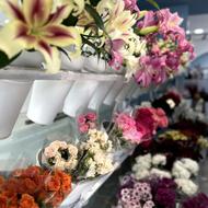 جذب نیروی حرفه ای سالن زیبایی