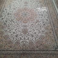 یک تخته فرش 12 متری