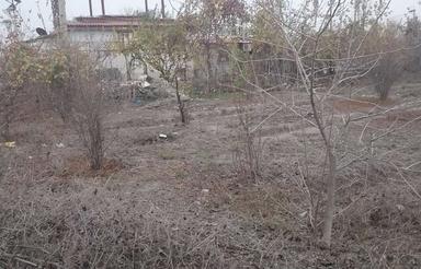 103 متر زمین کشاورزی