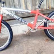 دوچرخه تکنیکی امرکایی دورنگ