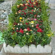 خدمات باغبانی نهالستان نگهداری و طراحی درختکاری وخاک باغچه