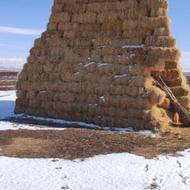 خوراک دام سبک وسنگین