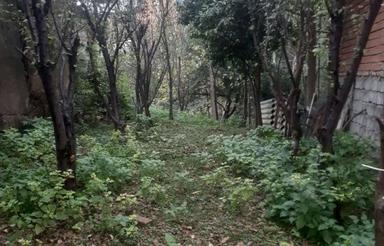 فروش زمین 100متری زرین آبادعلیا