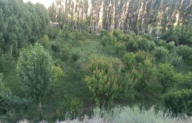 فروش باغ در 17کیلو متری جاده میانه تبریز