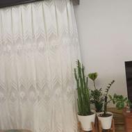 پرده پذیرایی