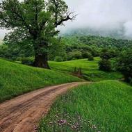 امور خرید و فروش ملک و زمین