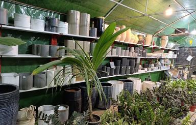 فروش گلخانه با تمام تجهیزات