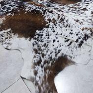 پوست گاوی طبیعی