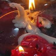 مشاوره و فال سرنوشت و عاطفی و مالی دوره دیده در اروپا