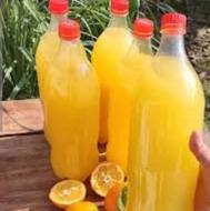 خریدار آب نارنج