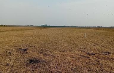 3000 هزار متر شالیزاری سوته معاوضه با خونه باغ