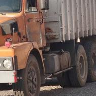 شسته فیلر بادامی