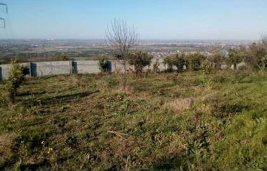 باغ 2000 متری دور دیوار