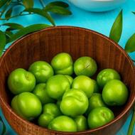 فروش نهال گوجه سبز،الوچه دونسری وسیتی