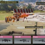 اکانت کالاف زیلات