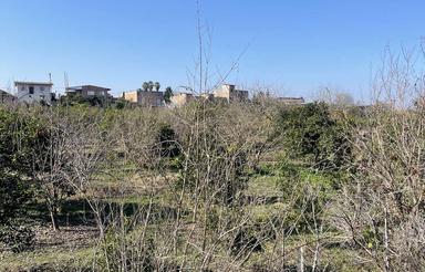 1050 متر زمین خوش قواره در دولت آباد