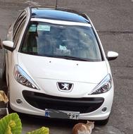 بژو 207 پاناروما, رینگ فولادی ارتقا یافته 1404، صفر و خشک