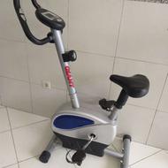 دوچرخه ثابت GIANT