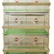 قفس سه طبقه مرغ تخم گذار آکبند