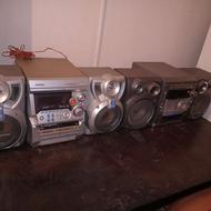 ضبط باند سالم