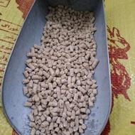 فروش کنسانتره دام