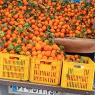 پرتغال 400کلیو برای آبگیری