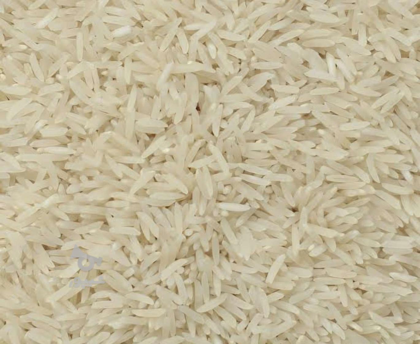 برنج فجر کیلویی