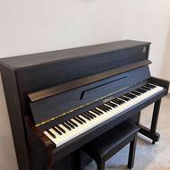 پیانو دیجیتال Crawzer طرح آکوستیک (سری CX)