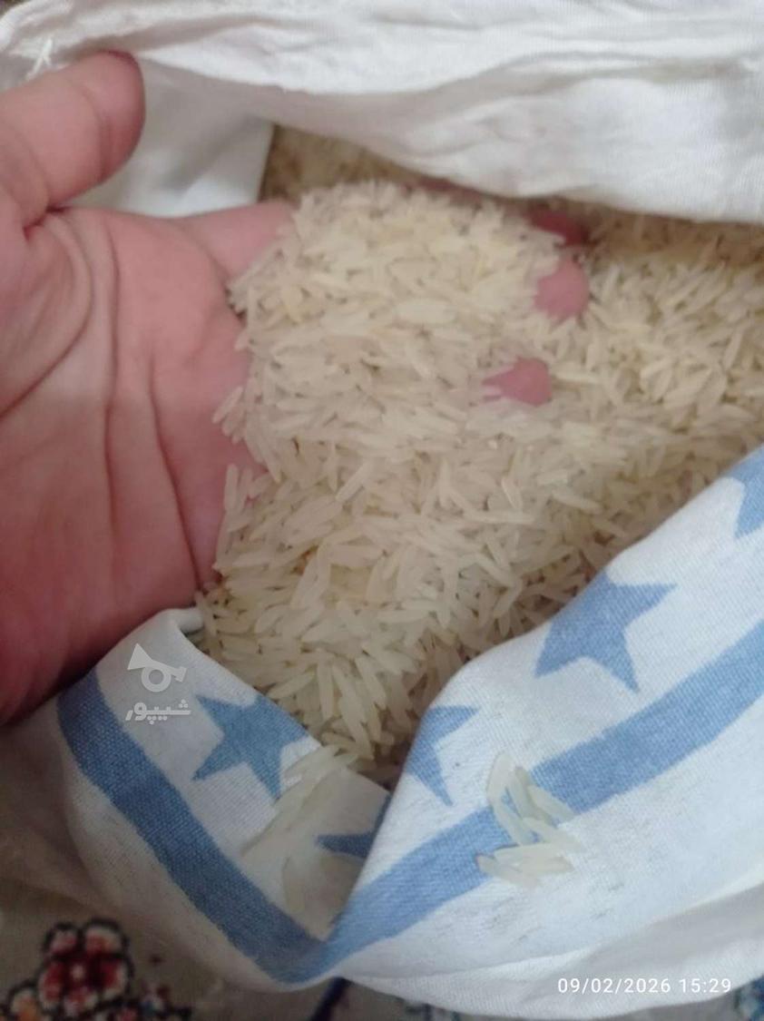 فروش 8 کیلو برنج هندی کیلویی 50 هزار تومن