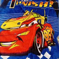 قالیشویی و پتوشویی تمام اتوماتیک حسن