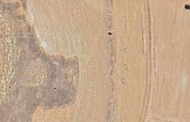 زمین کشاورزی 2 هکتار