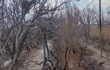 خانه باغ 800 متری