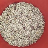 لوبیاچیتی خوش طعم و خوشپخت