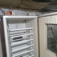 ماشین جوجه کشی