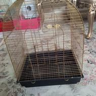 قفس عروس هلندی در حدنو