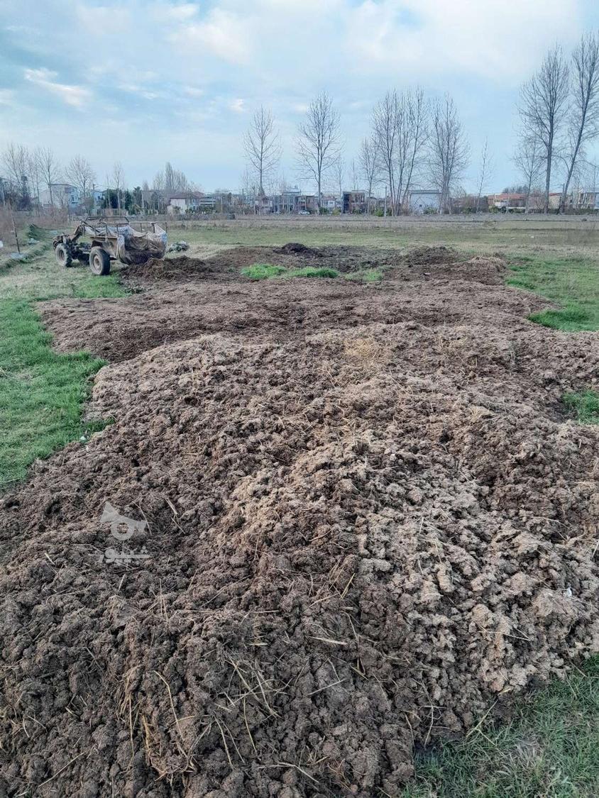 کود حیوانی نیسانی