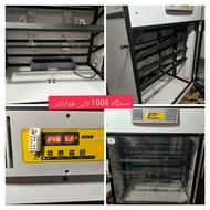 دستگاه جوجه کشی 504 و 1008 تایی اسکندری