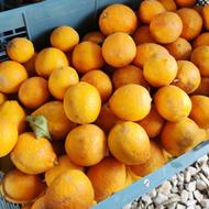 لیمو ترش کیلویی