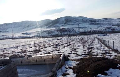 باغ درخت میوه در بیست کیلومتری اردبیل فروش می رسد