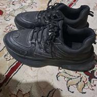 کفش درحدنو.