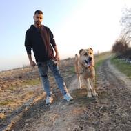 نر افغانی فروش معاوضه