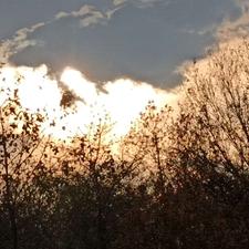 4عدد شمع کاملا سالم برای سمند