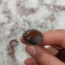 انگشتر شجر پاییزی