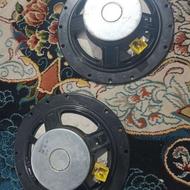 معاوضه باند با یدانه کفتر