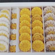 نبات تزیینی جعبه ایی