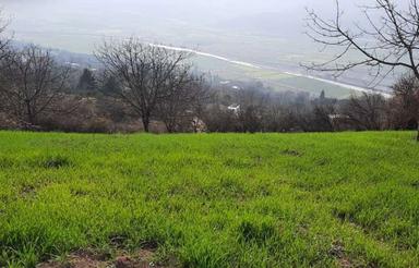 زمین دو هکتاری با چشم انداز استثنایی خارج از بافت